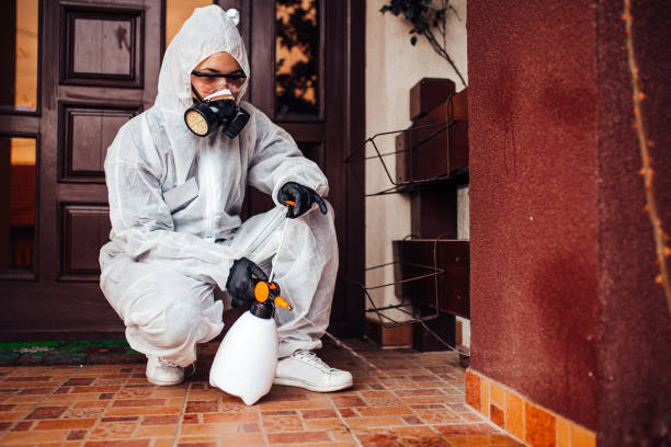 Reliable Cockroach Control contractor in Nebraska City, NE by Nex Pest Control